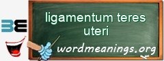 WordMeaning blackboard for ligamentum teres uteri